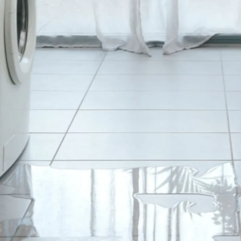 Appliance Leak Cleanup in Pottsboro, TX