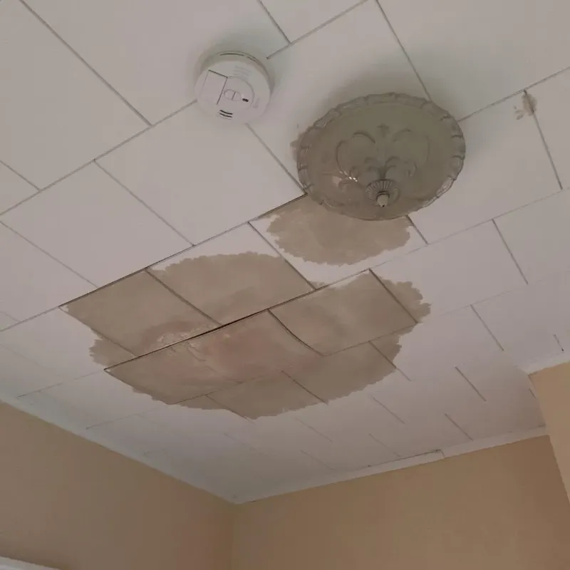 Ceiling Water Damage Repair in Pottsboro, TX