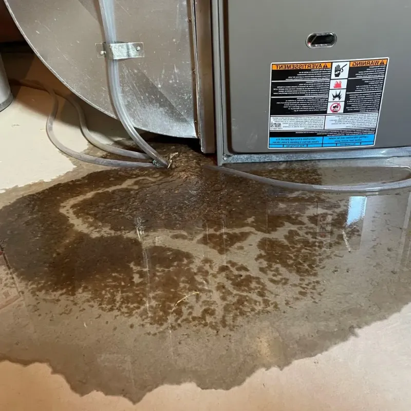 Pipe Burst and Leak Restoration in Pottsboro, TX