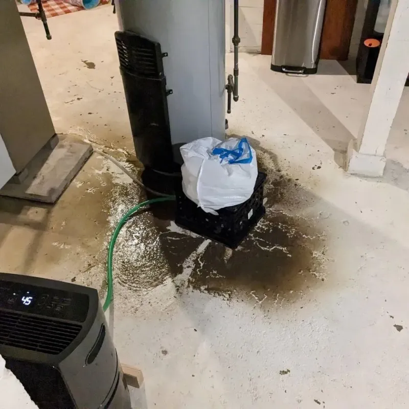 Sewage Backup Cleanup Service in Pottsboro, TX